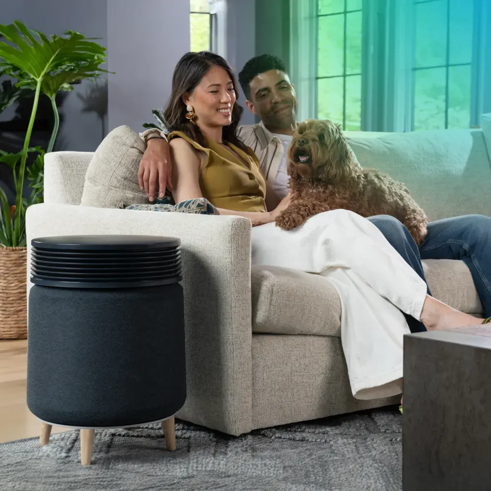 Blueair إكسسوار لجودة الهواء Blueair Blue Signature Large Leg Base - Wood - صورة مصغرة 4
